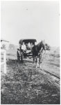 Using the buggy at Westwood Sanatorium ca. 1936